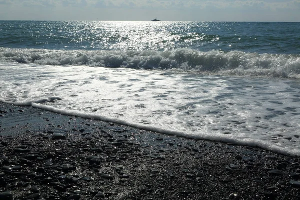Sea Beach Riviera Itt Szocsi Oroszország Kijelölt Fókusz — Stock Fotó