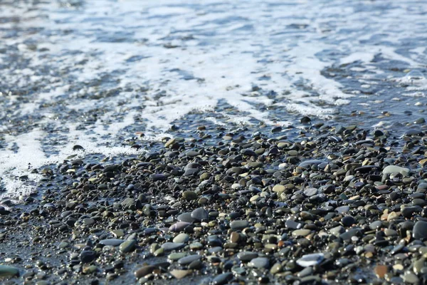 Sea Beach Riviera Sochi Russian Federation Selected Focus — Stock Photo, Image