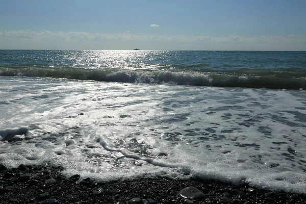 Sea Beach Riviera Soçi Rusya Federasyonu Seçilen Odak — Stok fotoğraf