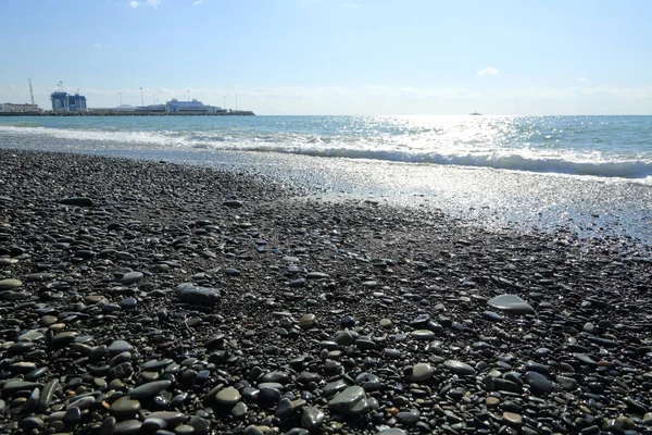 Mer Plage Riviera Sotchi Fédération Russie Objet Sélectionné — Photo