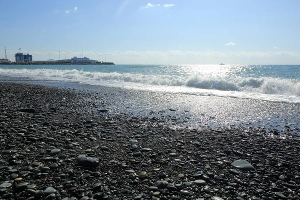 Sea Beach Riviera Soczi Federacja Rosyjska Wybrana Ostrość — Zdjęcie stockowe