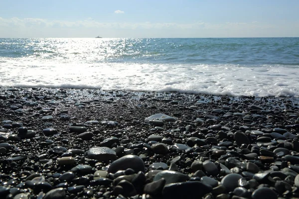 Meer Strand Riviera Sotschi Russische Föderation Ausgewählter Schwerpunkt — Stockfoto