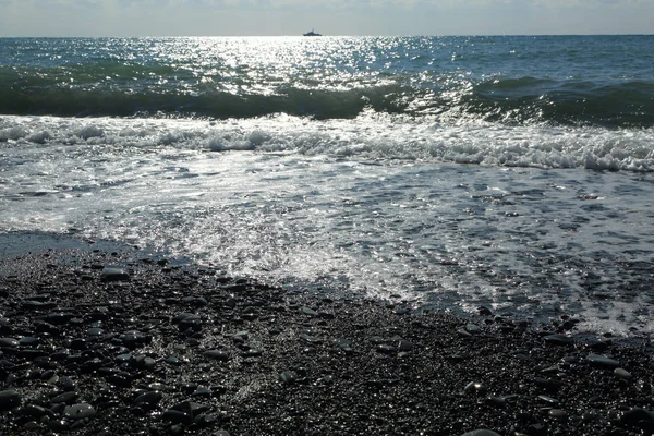 Sea Beach Riviera Soczi Federacja Rosyjska Wybrana Ostrość — Zdjęcie stockowe