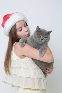 Bayan Noel Baba ve bir kedi