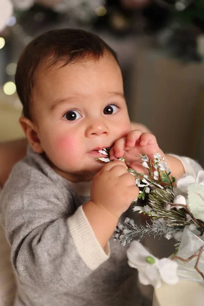 Studio Afbeelding Van Knappe Baby Jongen Kerstboom Vakantie Thema — Stockfoto