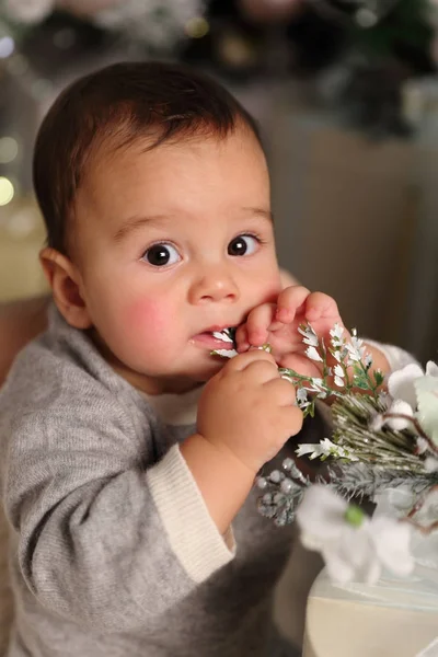 Studio Image Handsome Baby Boy Christmas Tree Holiday Theme — Stock Photo, Image