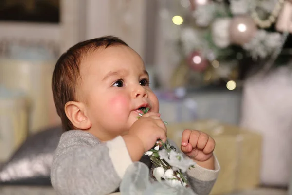 Imagem Estúdio Menino Bonito Sobre Árvore Natal Tema Férias — Fotografia de Stock