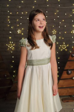 Güzel beyaz küçük kız portre Noel tatil