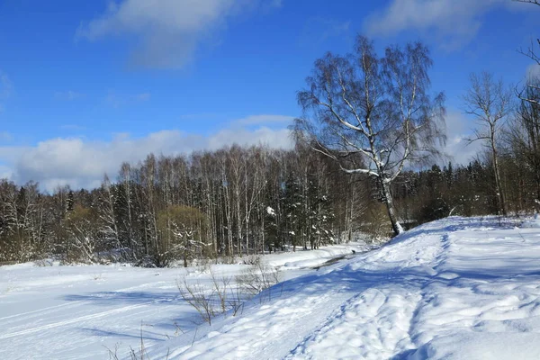 冬の風景 ロシア モスクワ地域 — ストック写真