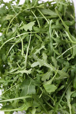 Organik yeşil ve taze roka (rucola veya rukola)