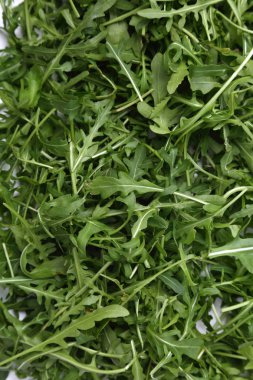 Organik yeşil ve taze roka (rucola veya rukola)