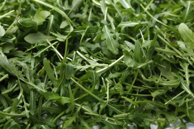 Organik yeşil ve taze roka (rucola veya rukola)