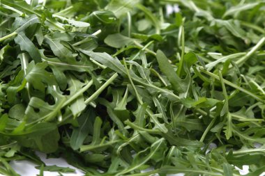 Organik yeşil ve taze roka (rucola veya rukola)