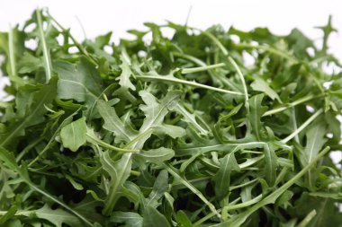 Organik yeşil ve taze roka (rucola veya rukola)