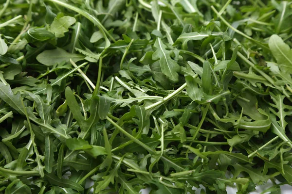 Organic Green Fresh Arugula Rucola Rukola — Stock Photo, Image