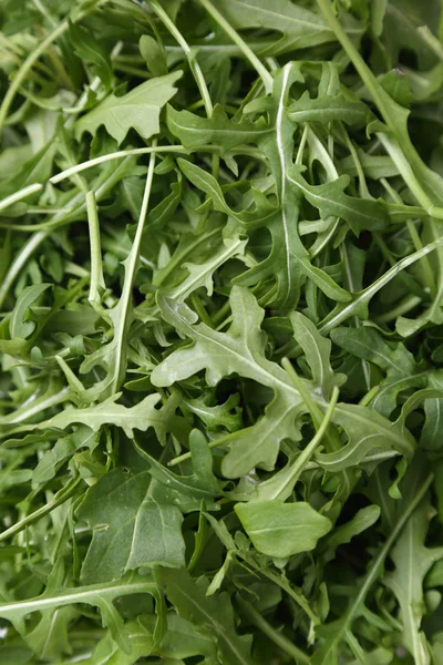 Organic Green Fresh Arugula Rucola Rukola — Stock Photo, Image