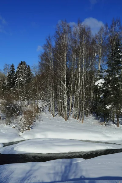 Winterlandschaft Russland Moskauer Region — Stockfoto