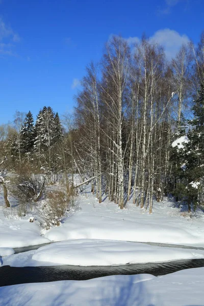 Paysage Hiver Russie Région Moscou — Photo