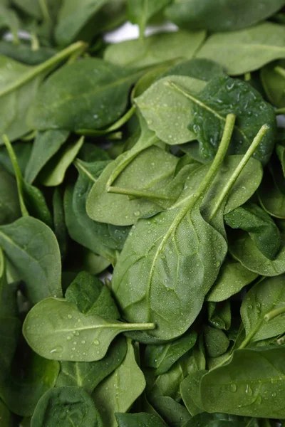 Espinacas Verdes Orgánicas Como Alimento Saludable — Foto de Stock