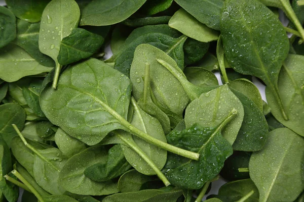 Espinafre Verde Orgânico Como Alimento Saudável — Fotografia de Stock