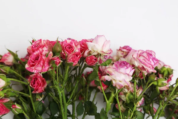 Studio Image Dried Roses — Stock Photo, Image