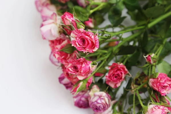 Atelierbild Von Getrockneten Rosen — Stockfoto