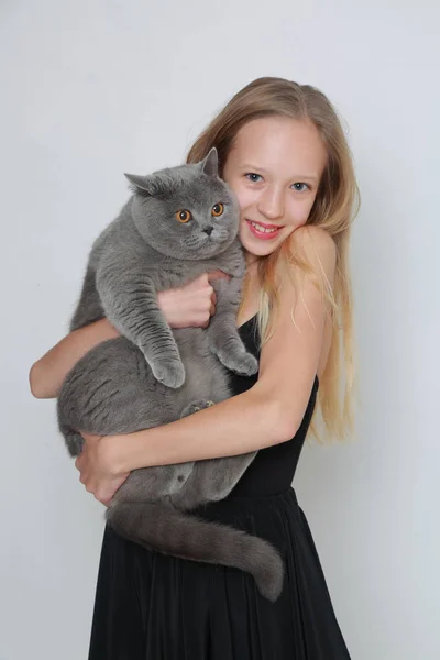 Precioso Caucásico Adolescente Chica Británico Pelo Corto Gato —  Fotos de Stock