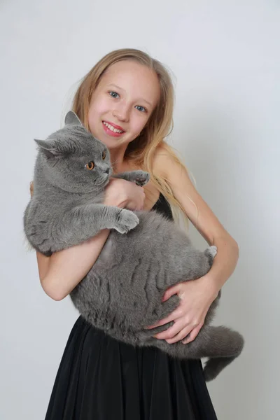 Милая Кавказская Девочка Подросток Британская Короткошерстная Кошка — стоковое фото