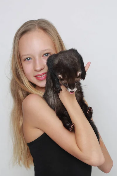 Studio Image Caucasian Little Girl Ferret White Backgoud — Stock Photo, Image