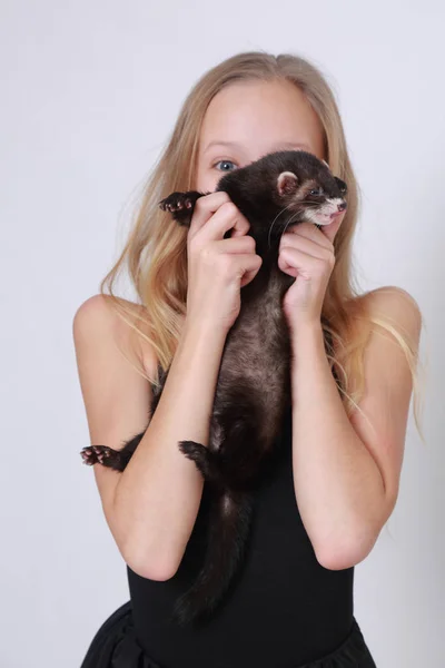 Studio Image Caucasian Little Girl Ferret White Backgoud — Stock Photo, Image