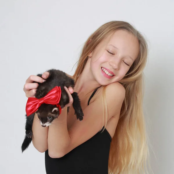 Studio Image Caucasian Little Girl Ferret White Backgoud — Stock Photo, Image