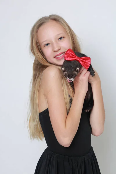 Studio Image Caucasian Little Girl Ferret White Backgoud — Stock Photo, Image