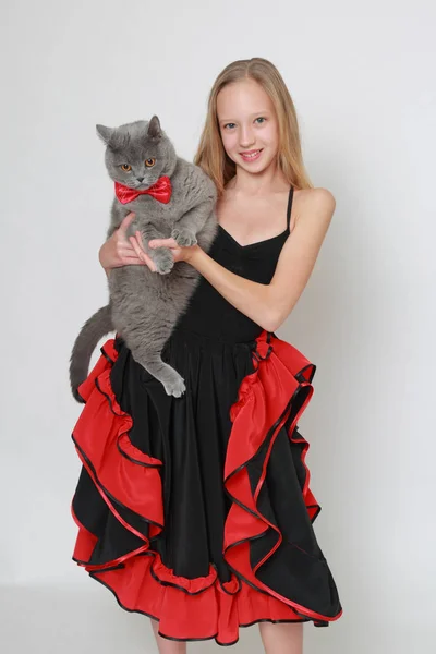 素敵な白人ティーン少女とイギリスの短い髪の猫 — ストック写真