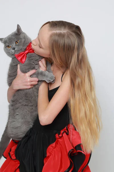 Precioso Caucásico Adolescente Chica Británico Pelo Corto Gato — Foto de Stock