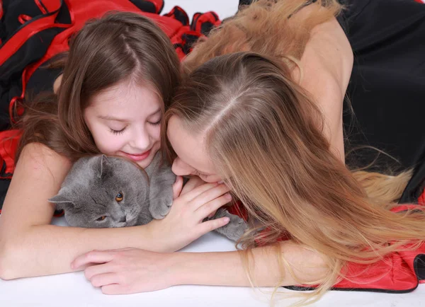 Linda Menina Adolescente Caucasiana Gato Cabelo Curto Britânico — Fotografia de Stock