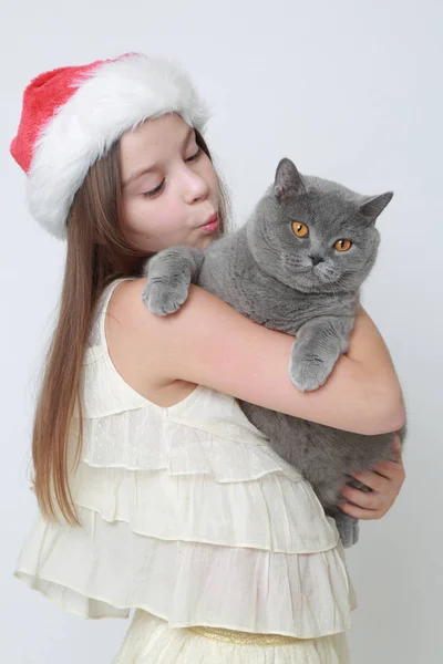 圣诞老人和猫小姐 — 图库照片