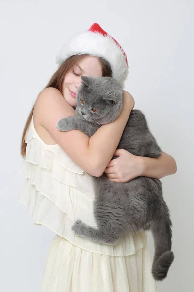 Miss Santa Cat — Stock Photo, Image