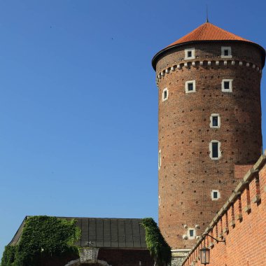 Krakow, Polonya - 1 Ağustos 2017: Wawel hill Katedrali ve Kalesi ile. Wawel Kalesi karmaşık bir tarihi mimari antik kentin merkezidir.