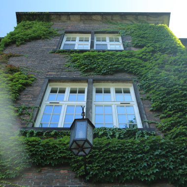 Krakow, Polonya - 1 Ağustos 2017: Wawel hill Katedrali ve Kalesi ile. Wawel Kalesi karmaşık bir tarihi mimari antik kentin merkezidir.