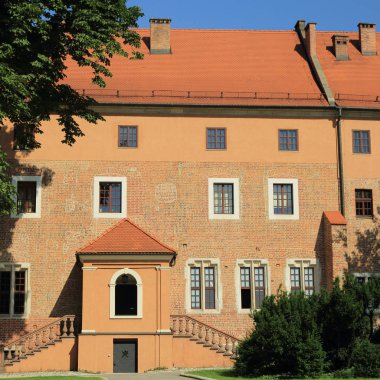 Krakow, Polonya - 1 Ağustos 2017: Wawel hill Katedrali ve Kalesi ile. Wawel Kalesi karmaşık bir tarihi mimari antik kentin merkezidir.