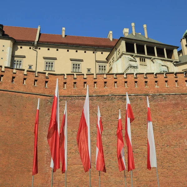 Krakau Polen August 2017 Wawel Hügel Mit Kathedrale Und Burg — Stockfoto