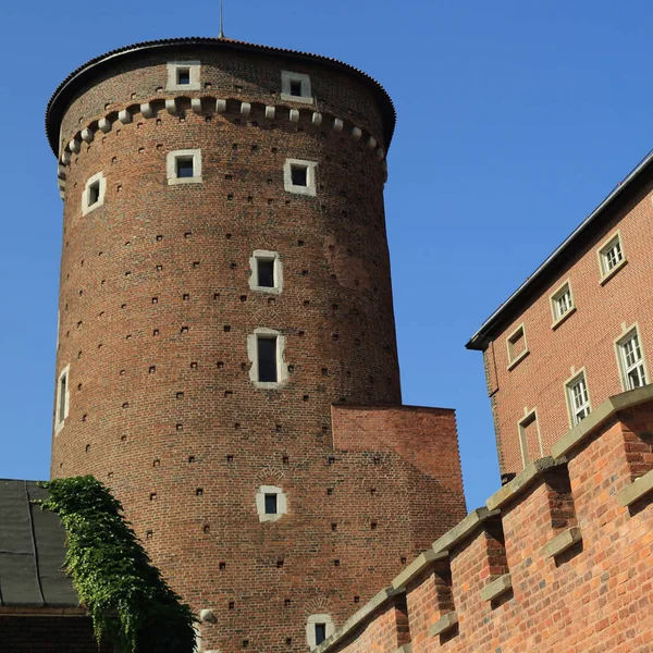 Krakow Pologne 1Er Août 2017 Colline Wawel Avec Cathédrale Château — Photo