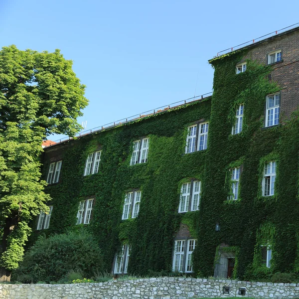 Krakow Polen Augustus 2017 Wawel Heuvel Met Kathedraal Het Kasteel — Stockfoto