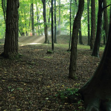 Güneş ışınları yaz yağmur Adam Mickevich Town Sanok, Polonya tarafından adlandırılan parkta sonra ağaçlar ile