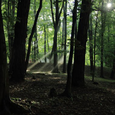 Güneş ışınları yaz yağmur Adam Mickevich Town Sanok, Polonya tarafından adlandırılan parkta sonra ağaçlar ile