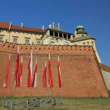 Krakow, Polonya - 1 Ağustos 2017: Wawel hill Katedrali ve Kalesi ile. Wawel Kalesi karmaşık bir tarihi mimari antik kentin merkezidir.