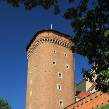 Krakow, Polonya - 1 Ağustos 2017: Wawel hill Katedrali ve Kalesi ile. Wawel Kalesi karmaşık bir tarihi mimari antik kentin merkezidir.