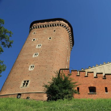 Krakow, Polonya - 1 Ağustos 2017: Wawel hill Katedrali ve Kalesi ile. Wawel Kalesi karmaşık bir tarihi mimari antik kentin merkezidir.