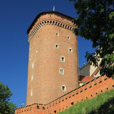 Krakow, Polonya - 1 Ağustos 2017: Wawel hill Katedrali ve Kalesi ile. Wawel Kalesi karmaşık bir tarihi mimari antik kentin merkezidir.