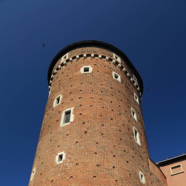 Krakow, Polonya - 1 Ağustos 2017: Wawel hill Katedrali ve Kalesi ile. Wawel Kalesi karmaşık bir tarihi mimari antik kentin merkezidir.